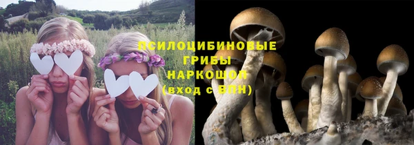 прущий лед Радужный