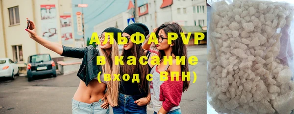 ПСИЛОЦИБИНОВЫЕ ГРИБЫ Ладушкин
