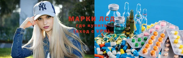 ПСИЛОЦИБИНОВЫЕ ГРИБЫ Ладушкин